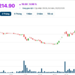 Vietnam’s Largest Gold Mining Company Releases Critical Announcement, Stock Doubles in Just One Month