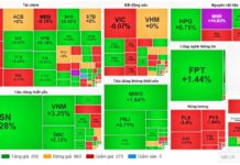 Market Pulse 29/01: Green Returns in the Afternoon Session