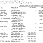 Novaland Rebounds to Profitability in 2025, Debt Surges Past 67 Trillion VND, CEO Earns 4.8 Billion VND Salary